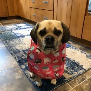 Meet your Posher, Katie